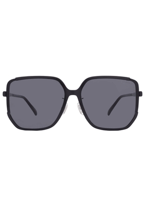 Coach Grey Butterfly Ladies Sunglasses HC8401D 500287 64