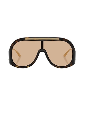 Dolce & Gabbana Aviator Sunglassess in Havana - Brown. Size all.