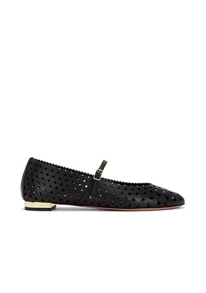 Aquazzura Amourose Ballet Flat in Black - Black. Size 36 (also in 36.5, 37.5, 38, 40, 41).