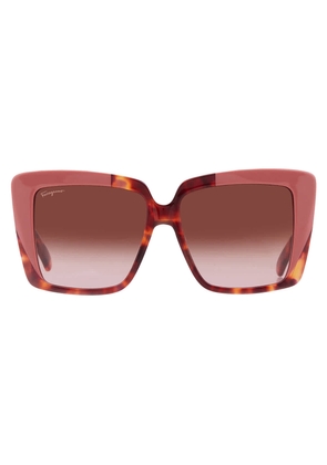 Ferragamo Brown Gradient Square Ladies Sunglasses SF1060S 641 55