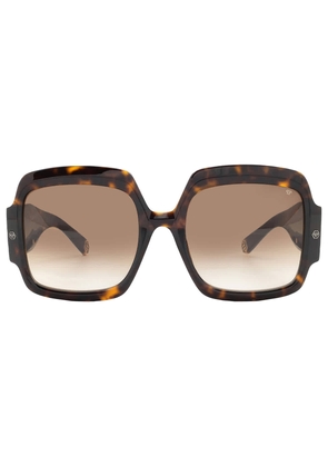 Philipp Plein Brown Square Ladies Sunglasses SPP038M 0722 56