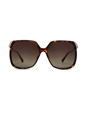 Chloe Aly Sunglasses in Havana  Gold  & Brown - Brown. Size all.