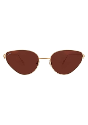 Cartier C de Cartier Brown Cat Eye Ladies Sunglasses CT0155S 002 57