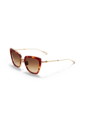 Valentino DAYDREAM II Brown Gradient Butterfly Ladies Sunglasses VLS-165 B 53