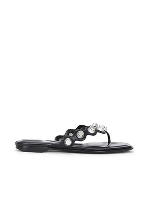 Alexander Wang Rexa Thong Sandal in Black - Black. Size 36 (also in 37, 38).