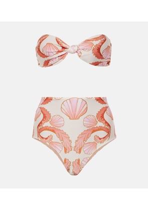 Adriana Degreas Seashell high-rise bikini