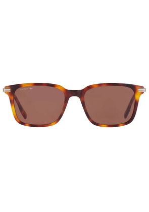 Lacoste Brown Square Mens Sunglasses L6035S 214 53