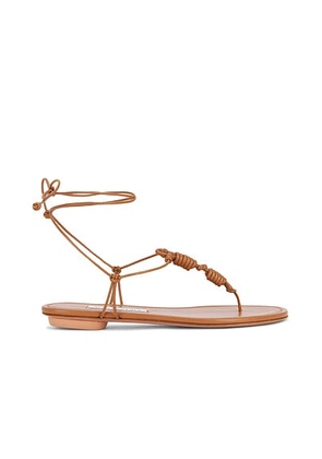 Aquazzura Oaxaca Thong Flat Sandal in Miele - Brown. Size 36 (also in 36.5, 39.5).