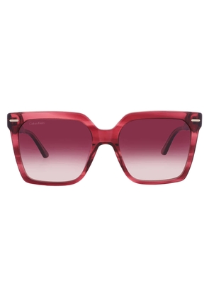 Calvin Klein Burgundy Gradient Square Ladies Sunglasses CK22534S 605 55