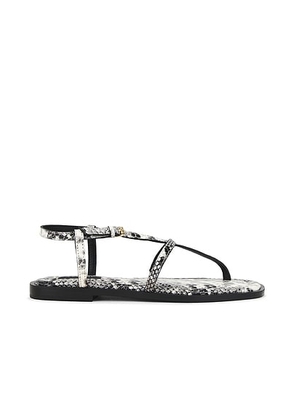 A.EMERY Remly Sandal in Eggshell Snake - White. Size 37 (also in 38, 39, 40, 41).