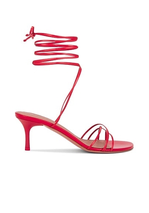 AMINA MUADDI Lori Lace Up 60 Nappa Sandal in Red - Red. Size 36 (also in ).