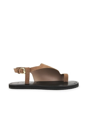 A.EMERY Milne Sandal in Caribou Suede - Beige. Size 35 (also in 36, 37, 38, 39, 40, 41).