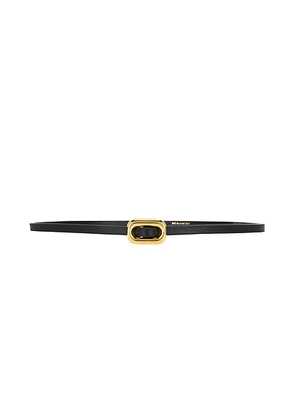 DEHANCHE Venura Belt in Black & Gold - Black. Size all.