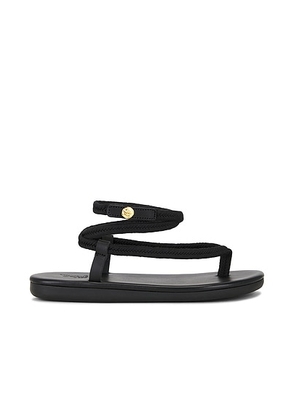 Ancient Greek Sandals Ormi Sandals in Black - Black. Size 36 (also in 37, 38, 39, 40, 41).