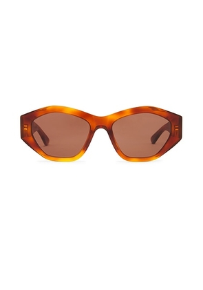 Bottega Veneta Cat Eye Sunglasses in Havana & Brown - Brown. Size all.