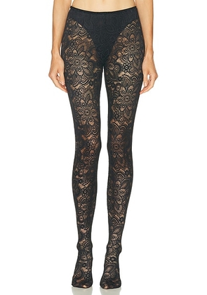 Beaufille Cassia Lace Stockings in Black - Black. Size L (also in M, S, XS).