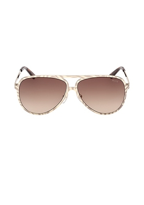 Emilio Pucci Pilot Sunglasses in Shiny Gold Marmo  Havana  & Brown - Cream. Size all.