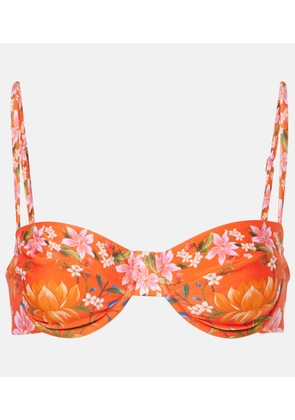 Farm Rio Printed bikini top