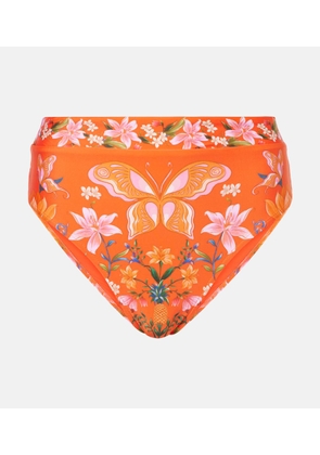 Farm Rio Printed high-rise bikini bottoms