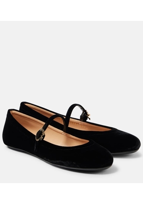 Gianvito Rossi Carla velvet ballet flats