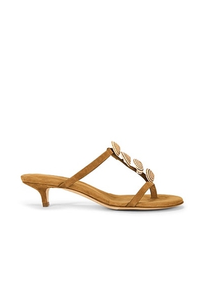 Christopher Esber Sundial Seashell Kitten Heel in Tan - Tan. Size 38 (also in ).