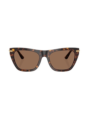 Dolce & Gabbana Cat Eye Sunglasses in Havana - Brown. Size all.