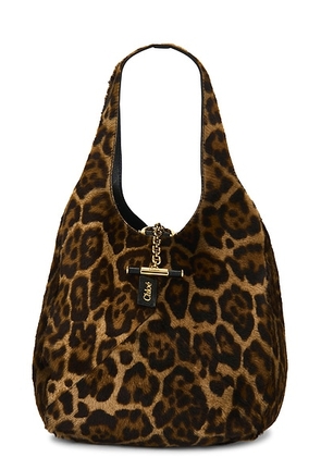 Chloe Balloon Hobo Bag in Jungle Brown - Chocolate. Size all.
