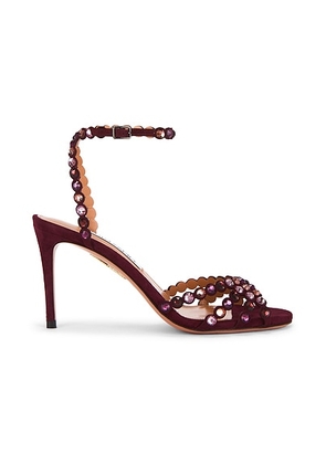 Aquazzura Tequila 85 Sandal in Blackberry - Burgundy. Size 36 (also in 37, 38).