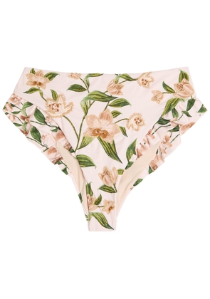 Agua BY Agua Bendita Jengibre Orquidea Floral-embroidered Bikini Briefs - Multicoloured - M (UK12 / M)