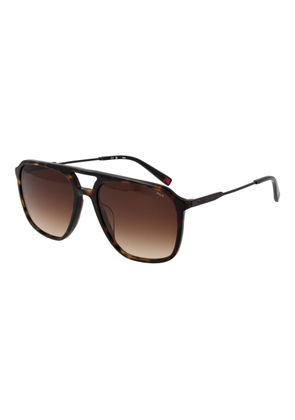 Brown Men Sunglasses