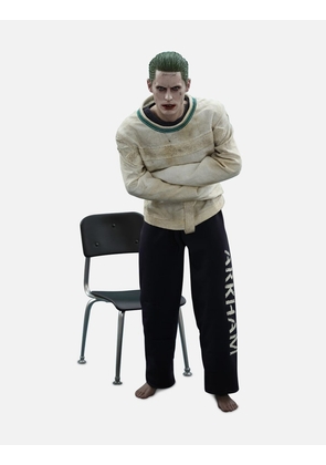 The Joker (Arkham Asylum Version)