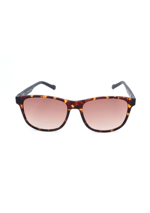 Bicolor Acetate Sunglasses