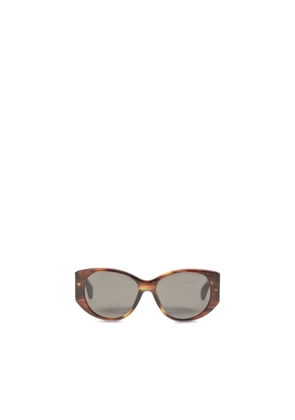 Balenciaga Brown Acetate Sunglasses