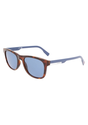Lacoste Brown Injected Sunglasses