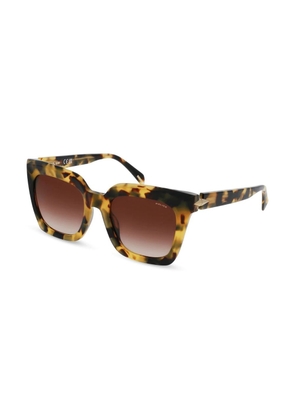 Police Brown Acetate Sunglasses