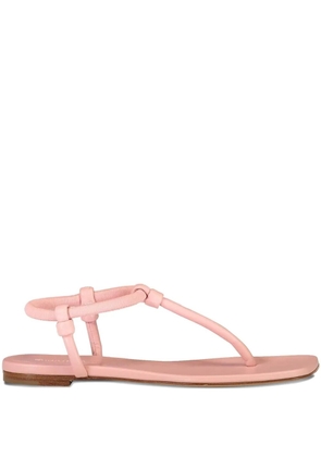 Gianvito Rossi Juno Thong 05 flat sandals - Pink