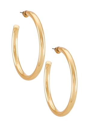 Casa Clara Annie Hoop Earring in Metallic Gold.