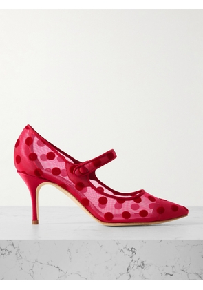 Manolo Blahnik - Campari 70 Grosgrain-trimmed Flocked Mesh Mary Jane Pumps - Red - IT35,IT35.5,IT36,IT36.5,IT37,IT37.5,IT38,IT38.5,IT39,IT39.5,IT40,IT40.5,IT41,IT41.5,IT42