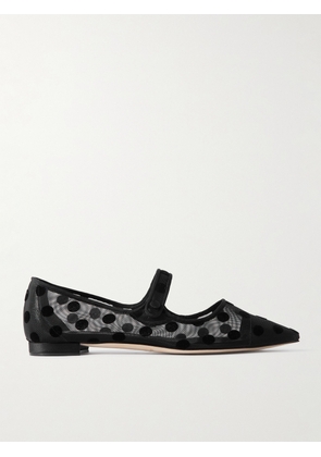 Manolo Blahnik - Campari Grosgrain-trimmed Flocked Mesh Ballet Flats - Black - IT35,IT35.5,IT36,IT36.5,IT37,IT37.5,IT38,IT38.5,IT39,IT39.5,IT40,IT40.5,IT41,IT41.5,IT42,IT43