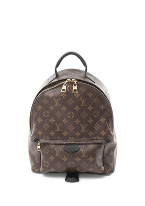 Louis Vuitton Pre-Owned 2020 Palm Springs MM backpack - Brown