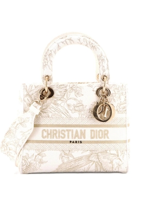 Christian Dior Pre-Owned Lady D-Lite Bag Embroidered Canvas Medium satchel - Neutrals