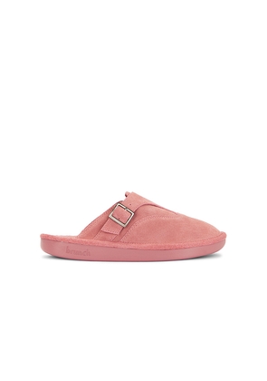Brunch Amour in Pink. Size 10/10.5. Also in 11/11.5, 12/12.5, 13/13.5.
