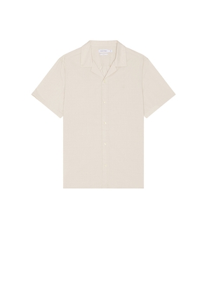 Calvin Klein Camp Shirt in Nude. Size S. Also in XL/1X.