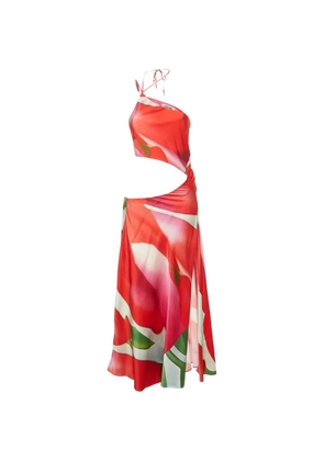 Mirae Ocean Tulip dress - Red