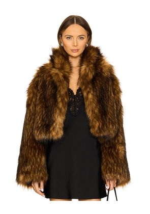 Adrienne Landau Teddy Bomber Jacket in Brown. Size L. Also in M, S.