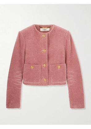Chloé - Cotton-corduroy Jacket - Pink - FR 34,FR 36,FR 38,FR 40,FR 42,FR 44,FR 46