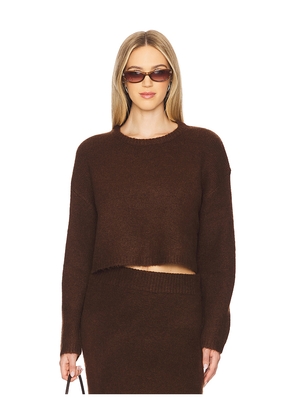 ASTR the Label Clarissa Sweater in Brown. Size L. Also in XL/1X.
