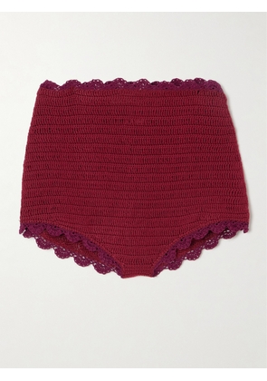 Magda Butrym - Scalloped Crocheted Cotton Shorts - Red - FR 34,FR 36,FR 38,FR 40