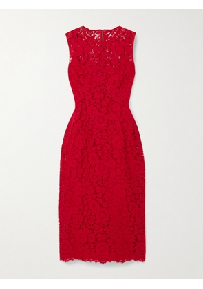 Dolce & Gabbana - Cotton-blend Lace Dress - Red - IT36,IT38,IT40,IT42,IT44,IT46,IT48,IT50