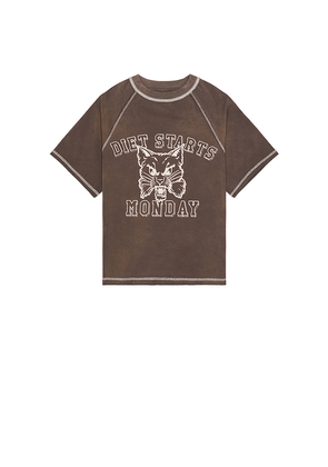 Diet Starts Monday Wildcat Raglan Tee in Grey. Size S. Also in XL/1X.